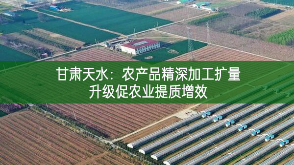 甘肅天水：農產品精深加工擴量升級促農業提質增效