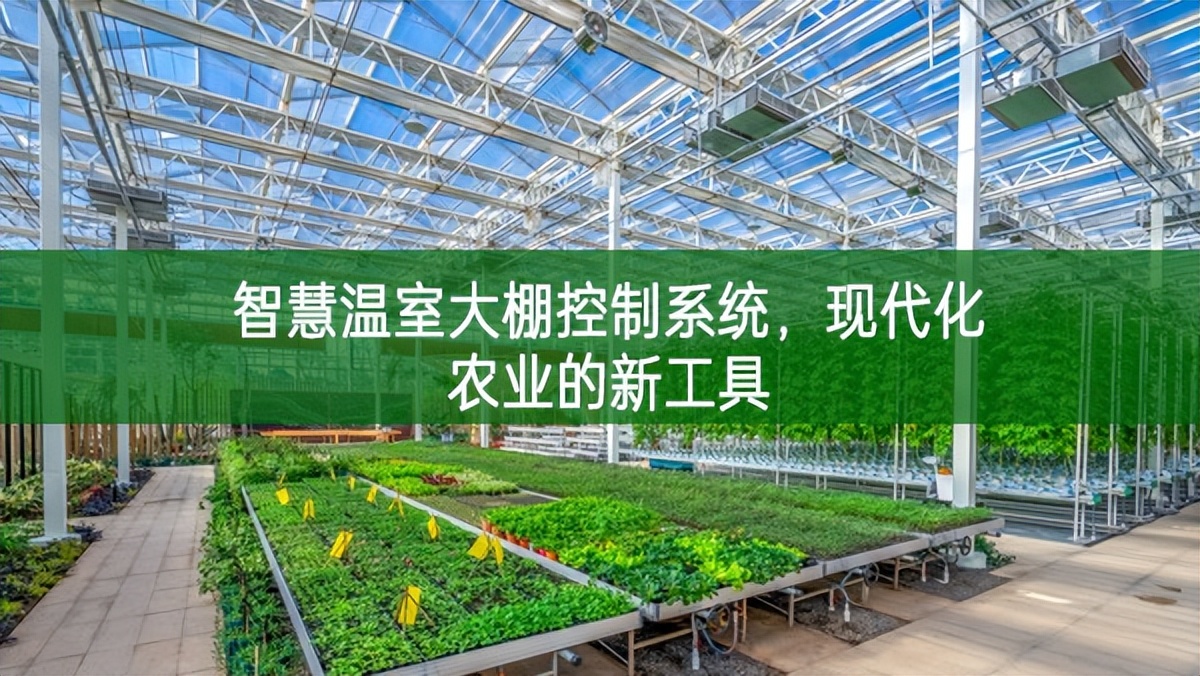 智慧溫室大棚控制系統，現代化農業的新工具