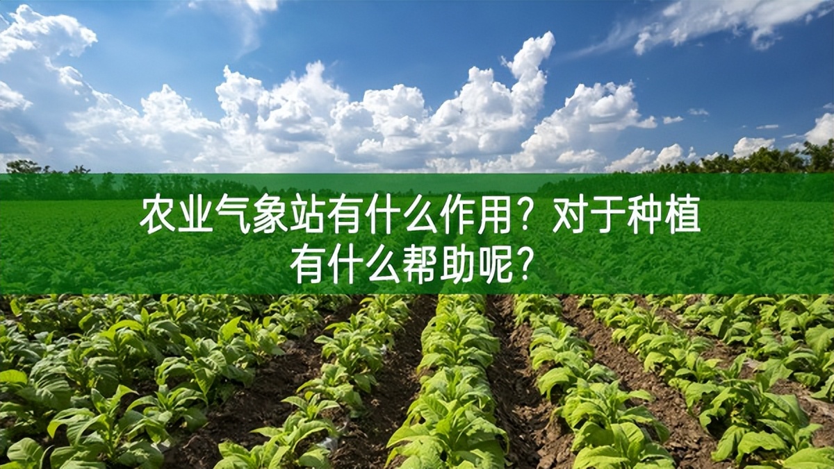 農(nóng)業(yè)氣象站有什么作用?對于種植有什么幫助呢?