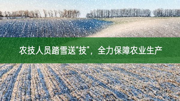 農(nóng)技人員踏雪送“技”，全力保障農(nóng)業(yè)生產(chǎn)