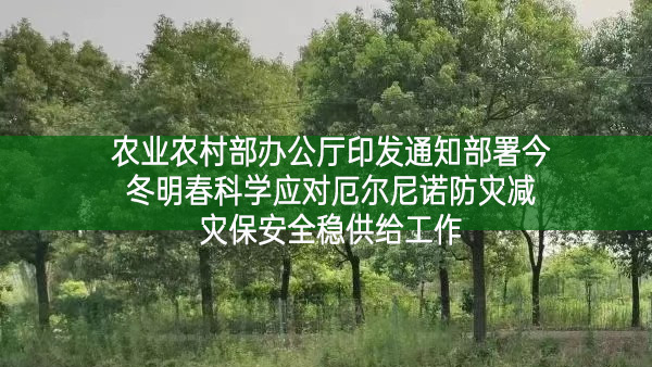 農業農村部辦公廳印發通知部署今冬明春科學應對厄爾尼諾防災減災保安全穩供給工作