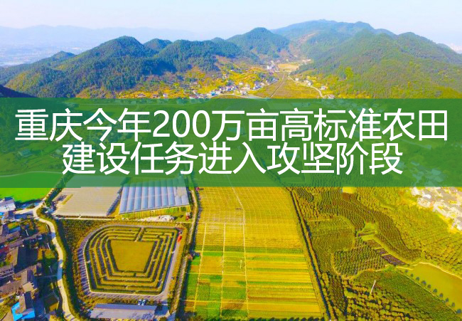 重慶今年200萬畝高標準農田建設任務進入攻堅階段