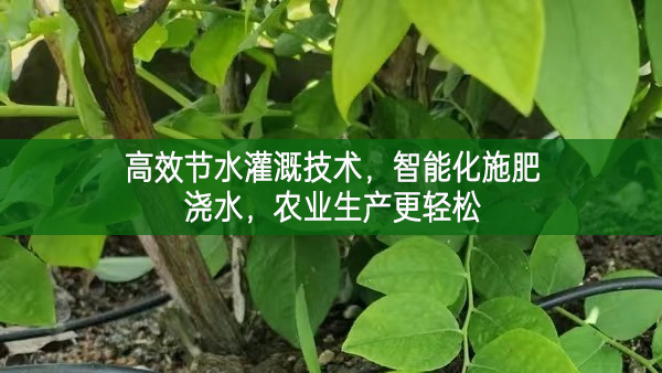 高效節水灌溉技術，智能化施肥澆水，農業生產更輕松