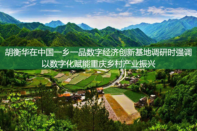 胡衡華在中國一鄉一品數字經濟創新基地調研時強調 以數字化賦能重慶鄉村產業振興