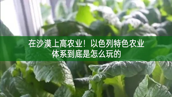 在沙漠上高農業！以色列特色農業體系到底是怎么玩的