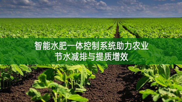 智能水肥一體控制系統助力農業節水減排與提質增效