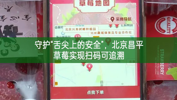 守護“舌尖上的安全”，北京昌平草莓實現掃碼可追溯