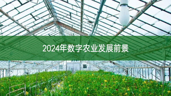 2024年數字農業發展前景