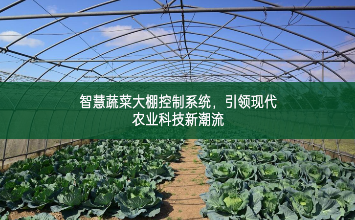 智慧蔬菜大棚控制系統，引領現代農業科技新潮流