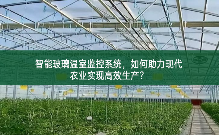 智能玻璃溫室監控系統，如何助力現代農業實現高效生產?