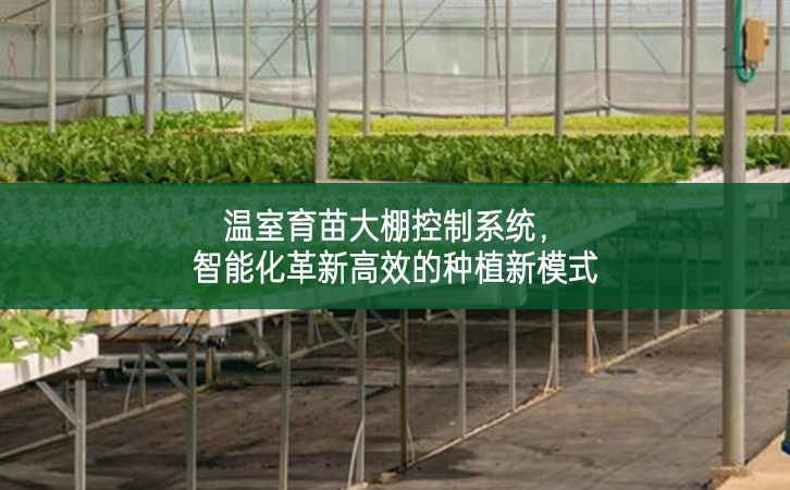 溫室育苗大棚控制系統，智能化革新高效的種植新模式