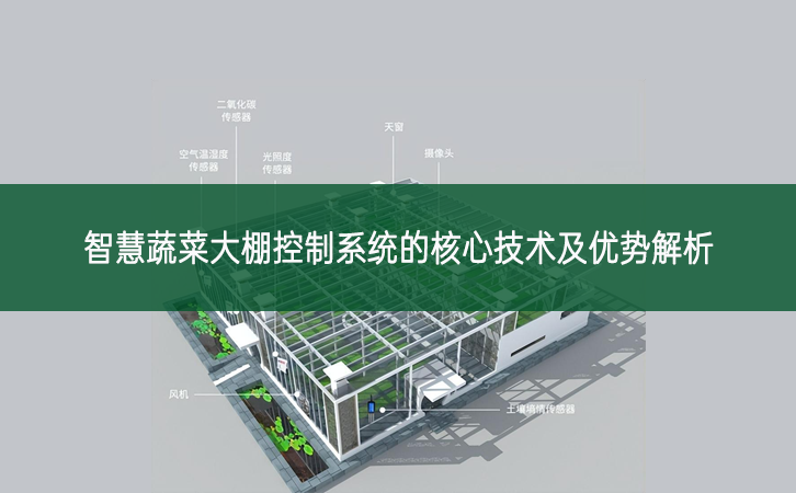 智慧蔬菜大棚控制系統的核心技術及優勢解析