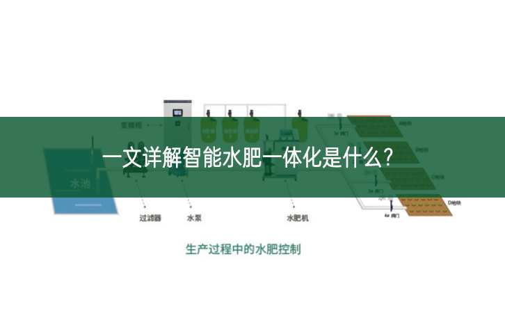 一文詳解智能水肥一體化是什么?