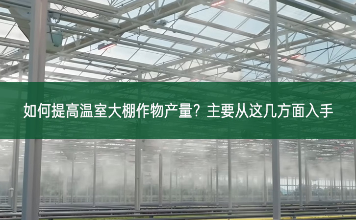 如何提高溫室大棚作物產量？主要從這幾方面入手