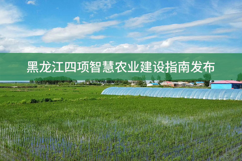 黑龍江四項智慧農業(yè)建設指南發(fā)布