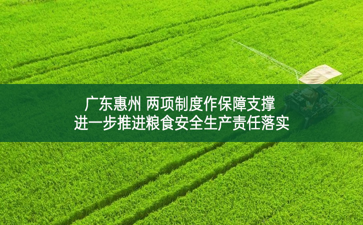 廣東惠州 兩項制度作保障支撐 進一步推進糧食安全生產責任落實