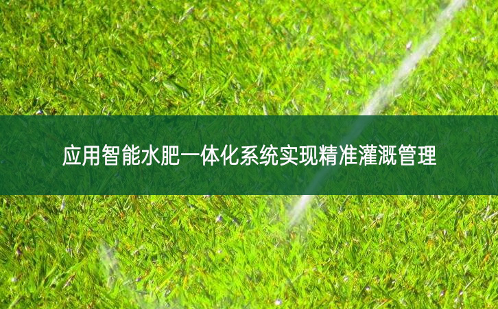 應用智能水肥一體化系統實現精準灌溉管理