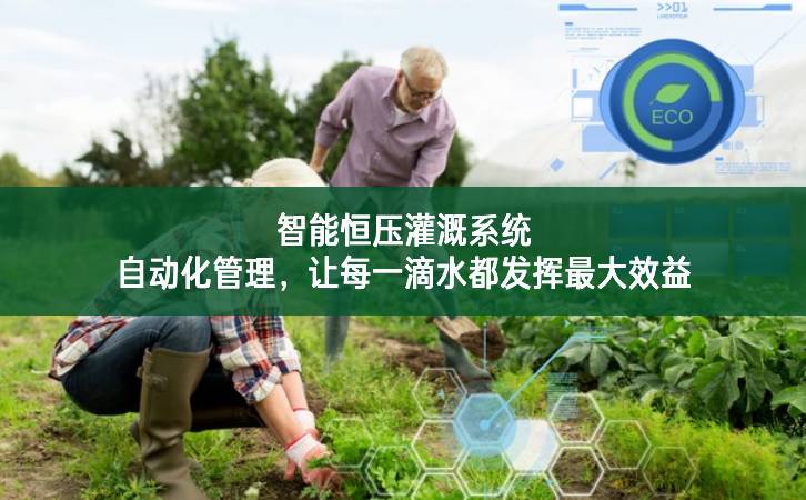 智能恒壓灌溉系統：自動化管理，讓每一滴水都發揮最大效益