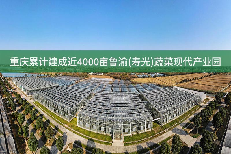 重慶累計建成近4000畝魯渝(壽光)蔬菜現(xiàn)代產業(yè)園