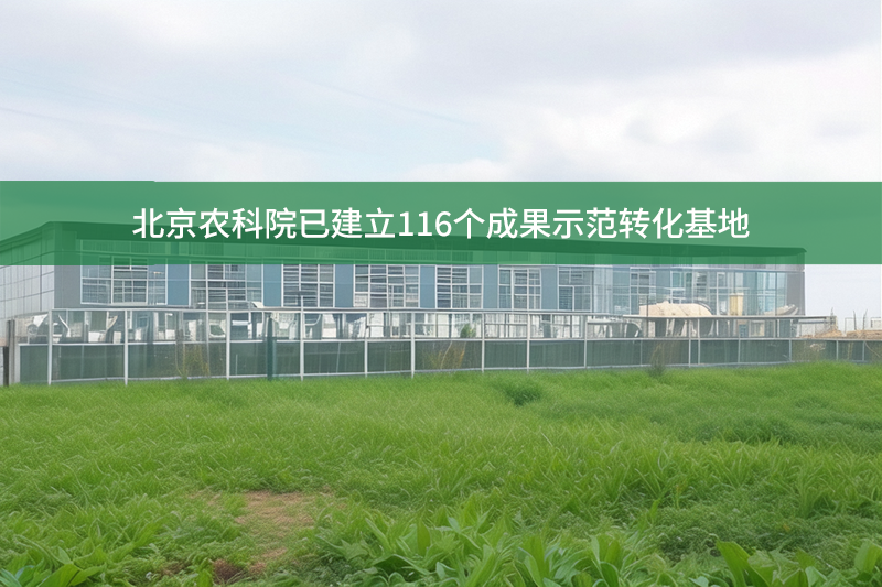 北京農科院已建立116個成果示范轉化基地