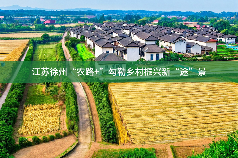 江蘇徐州“農(nóng)路+”勾勒鄉(xiāng)村振興新“途”景